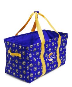 NFL Large Car Tote