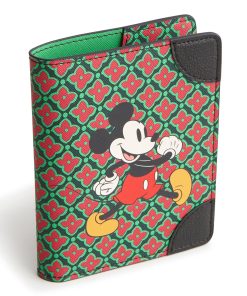 Disney Passport Cover