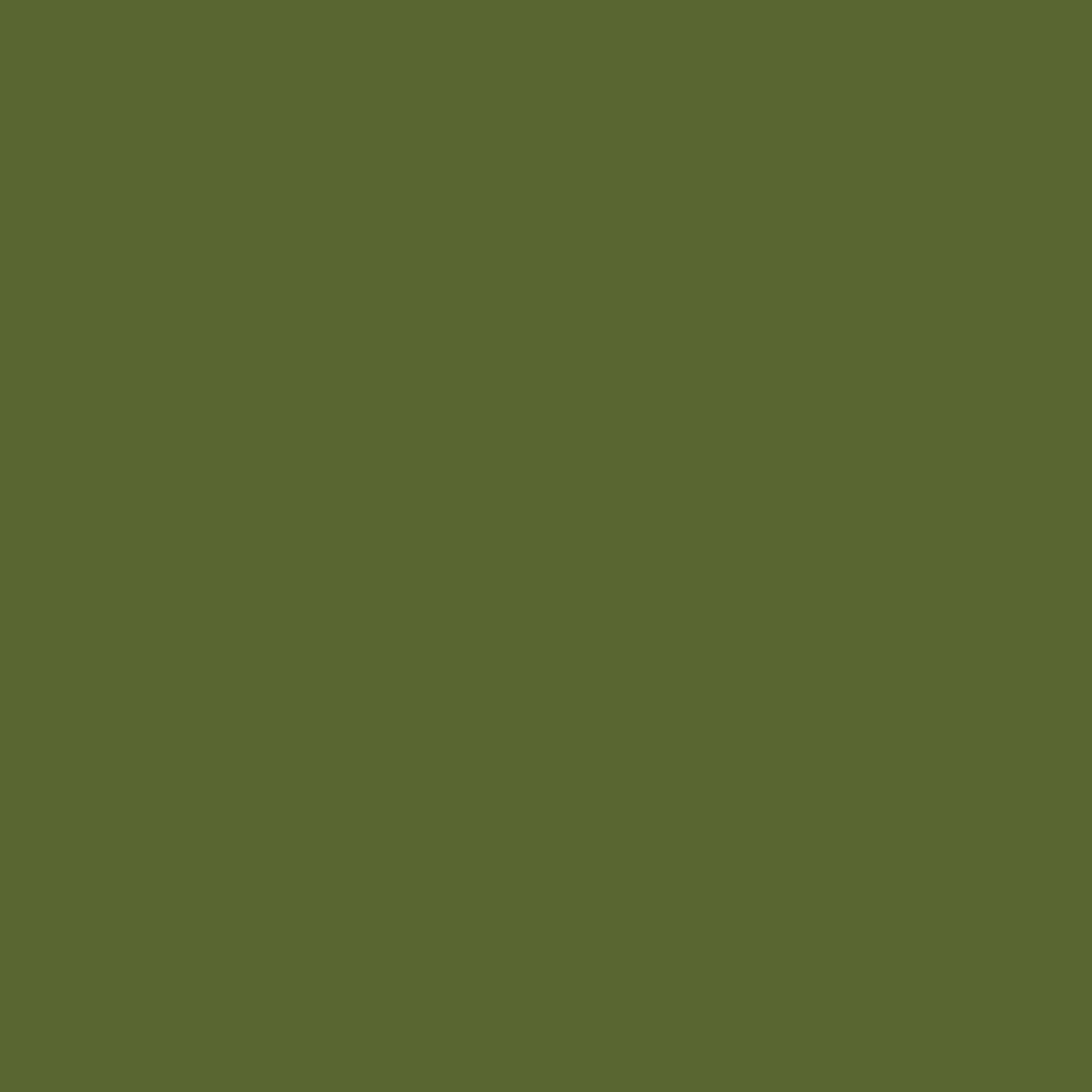 5209121569-swatch.jpg